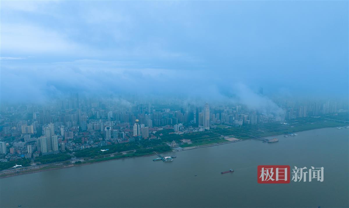 dafa黄金版网页